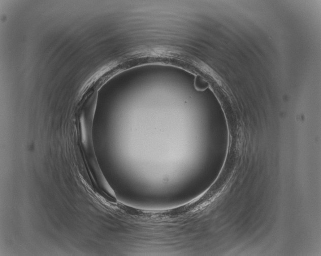 X0000085260922200703091320