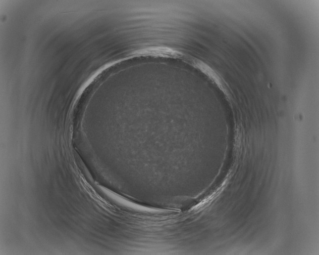 X0000085260923200703091320