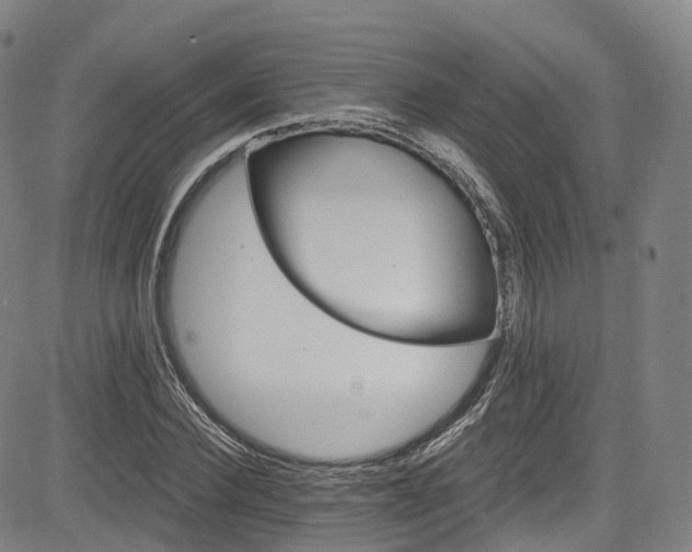 X0000085260924200703091320