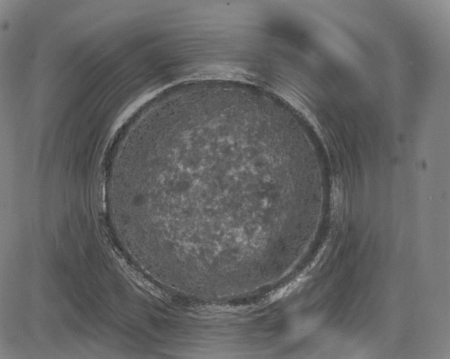 X0000085260925200703091320