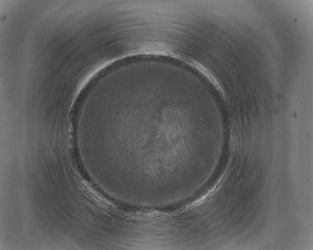 X0000085260926200703091320