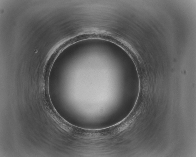 X0000085260927200703091320