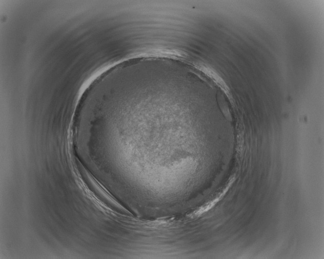 X0000085260928200703091320