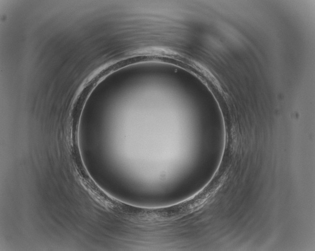 X0000085260931200703091320