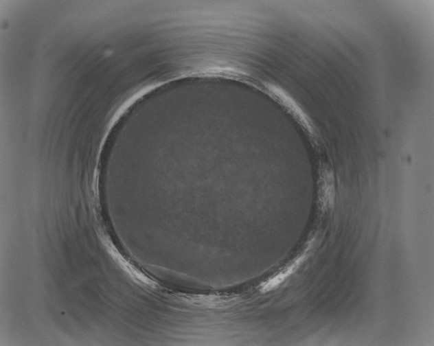 X0000085260932200703091320