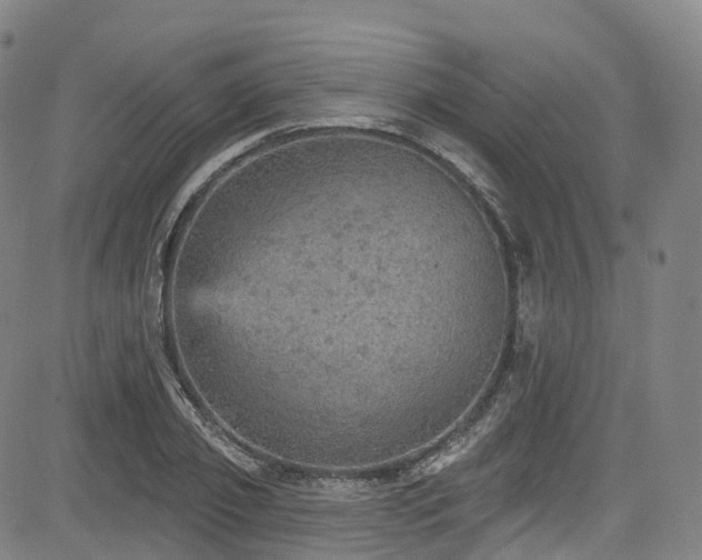 X0000085260933200703091320