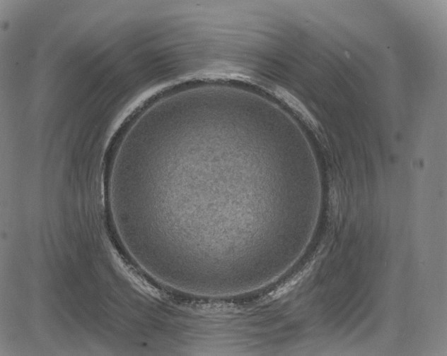 X0000085260934200703091320