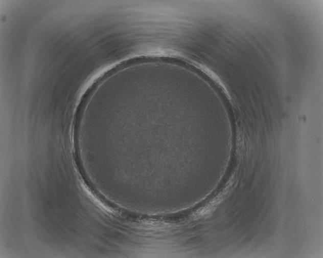 X0000085260935200703091320