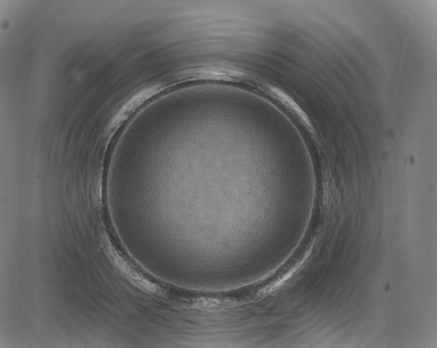 X0000085260938200703091320