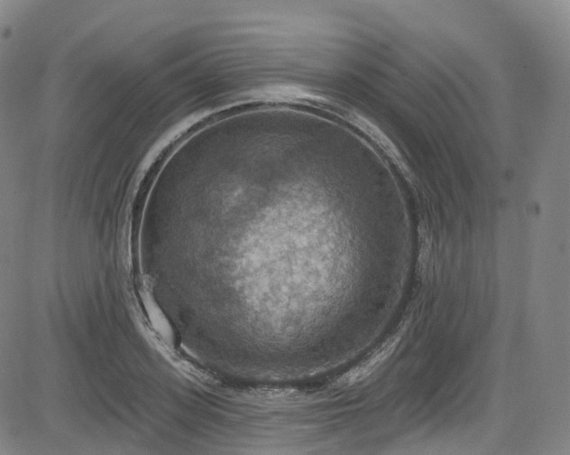 X0000085260939200703091320