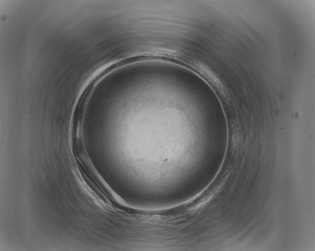 X0000085260940200703091320