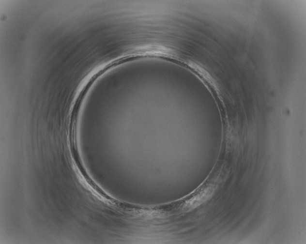 X0000085260941200703091320