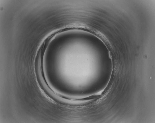 X0000085260942200703091320