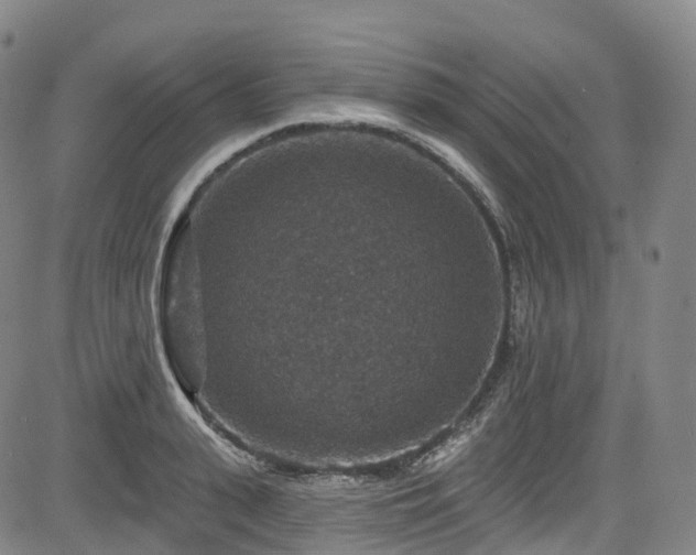 X0000085260943200703091320