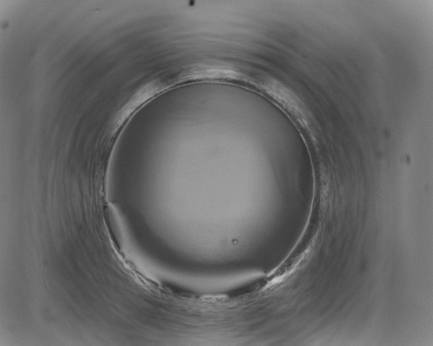 X0000085260945200703091320