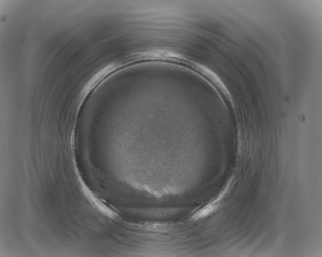 X0000085260946200703091320