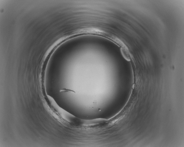 X0000085260947200703091320