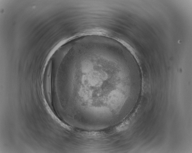 X0000085260949200703091320