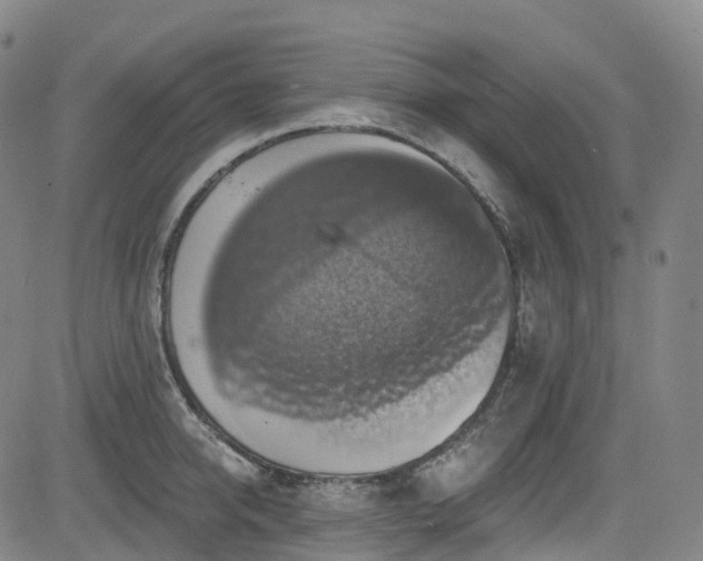 X0000085260950200703091320