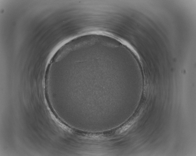 X0000085260951200703091320