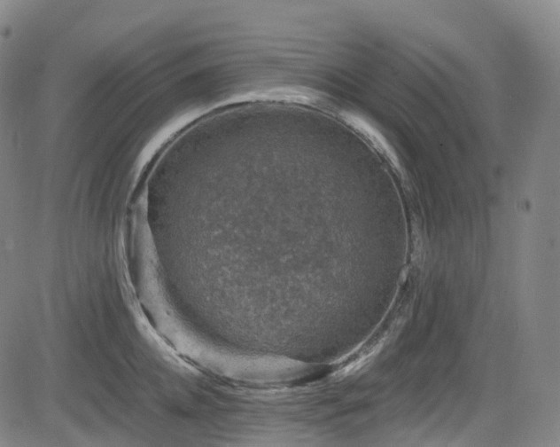 X0000085260952200703091320