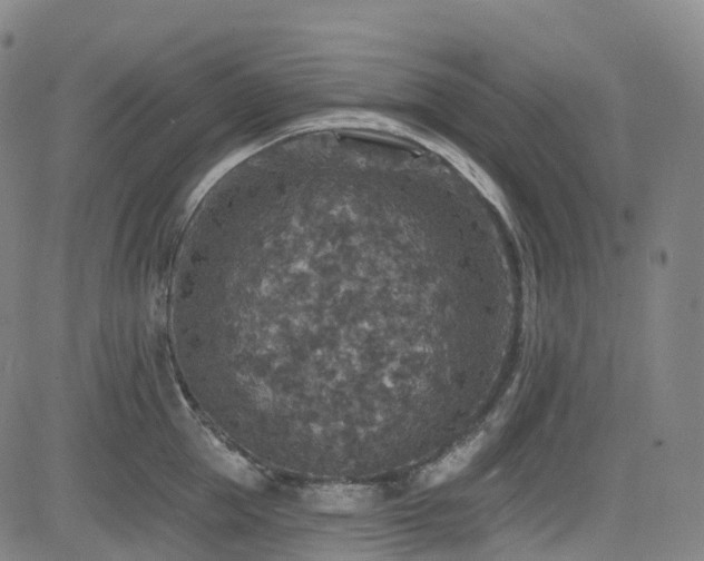 X0000085260953200703091320