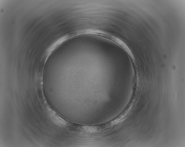 X0000085260954200703091320