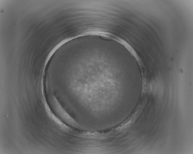 X0000085260955200703091320