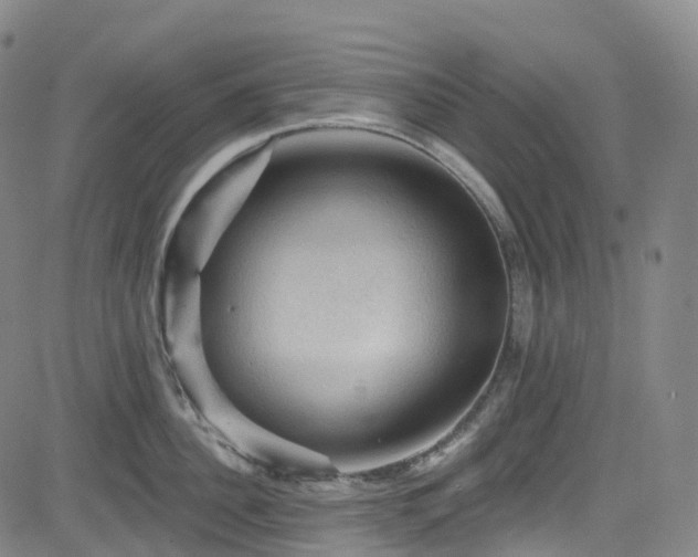 X0000085260956200703091320