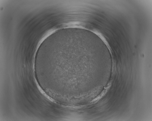 X0000085260957200703091320