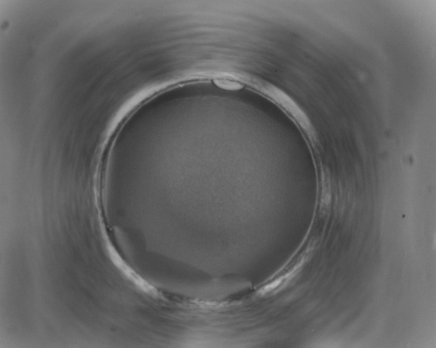 X0000085260958200703091320