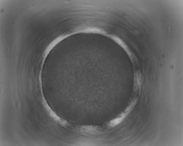 X0000085260959200703091320