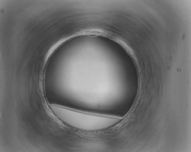 X0000085260960200703091320