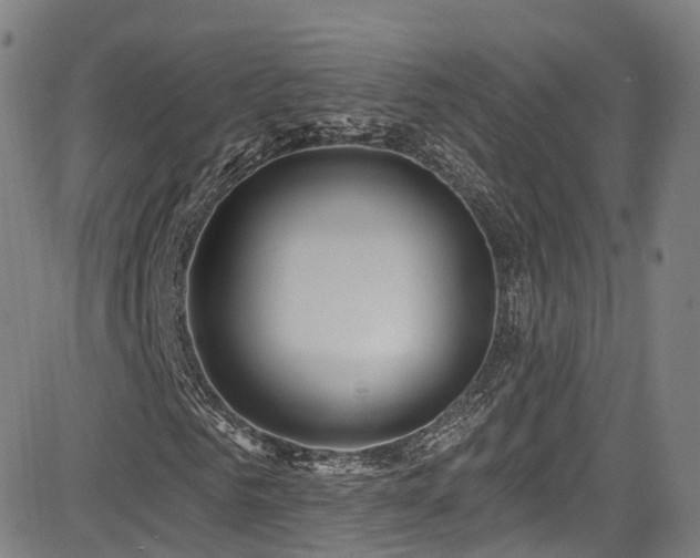 X0000085260961200703091319