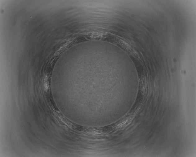 X0000085260962200703091319