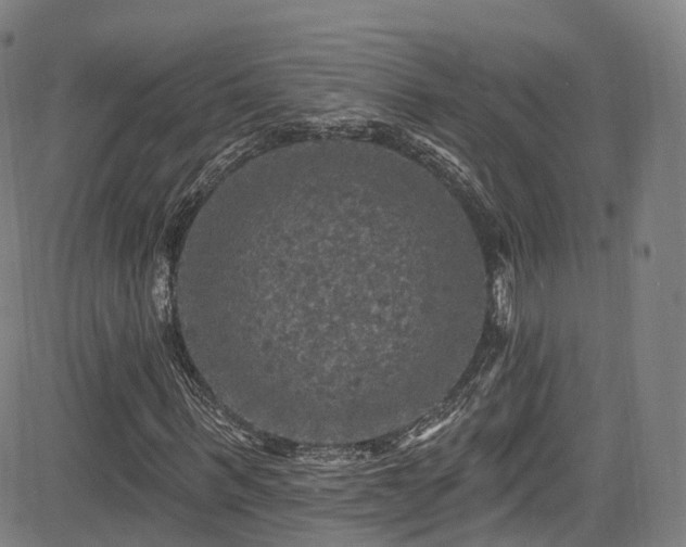 X0000085260963200703091319