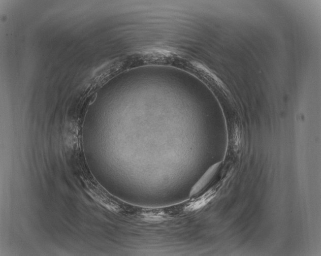 X0000085260964200703091319