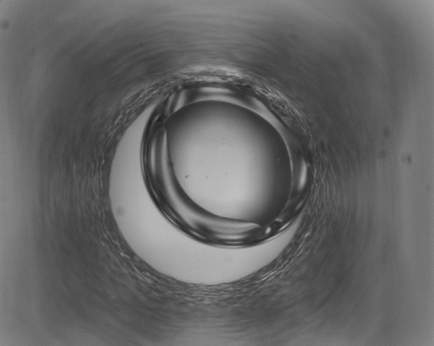 X0000085260965200703091319