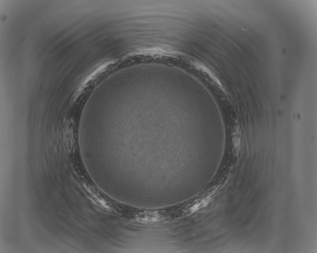 X0000085260968200703091319