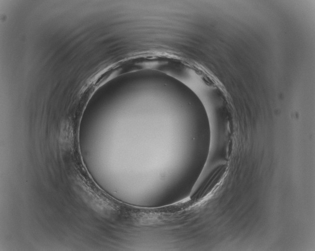 X0000085260969200703091319