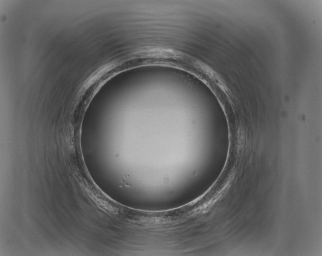 X0000085260970200703091319