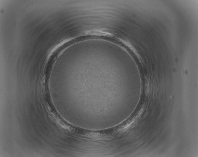 X0000085260971200703091319