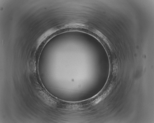 X0000085260973200703091319