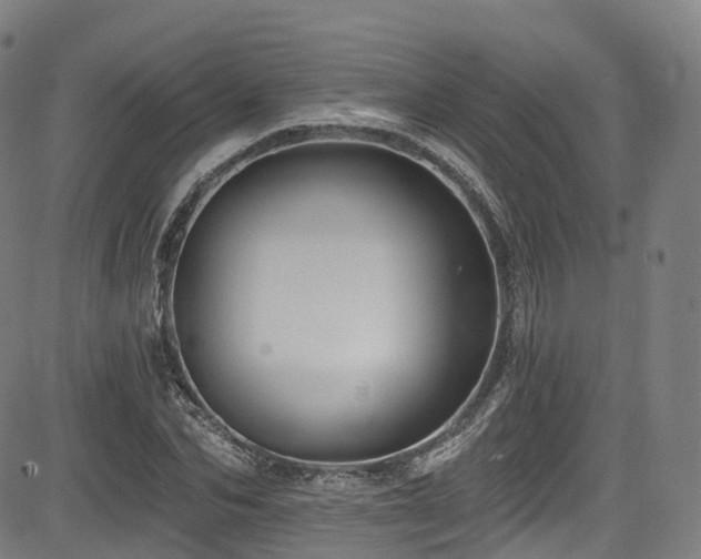 X0000085260974200703091319