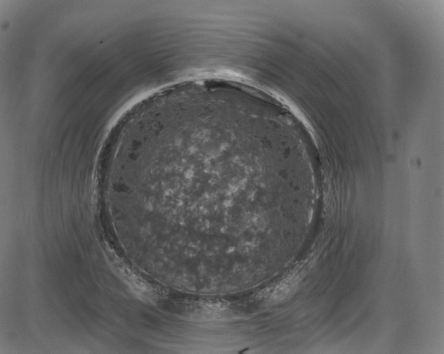 X0000085260975200703091319