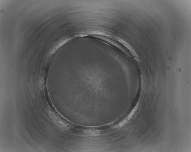 X0000085260977200703091319