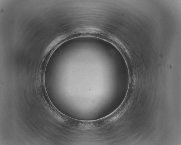 X0000085260978200703091319