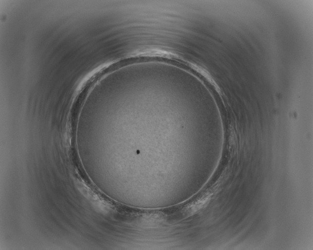 X0000085260979200703091319