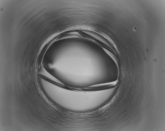 X0000085260981200703091319