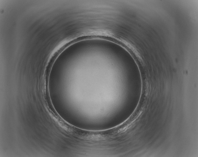 X0000085260982200703091319